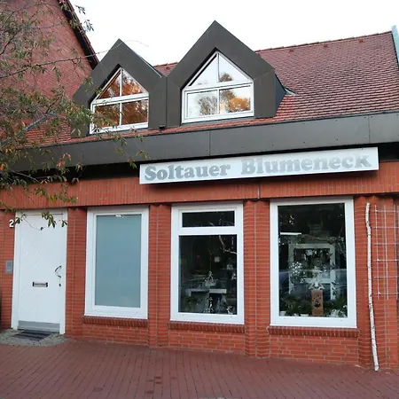 Stadtblick * 졸타우