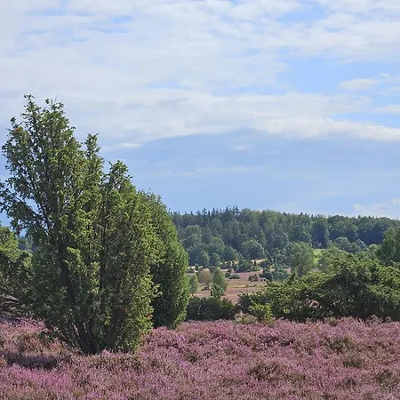 Stadtblick * 索尔陶